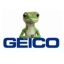 Geico Insurance Agency